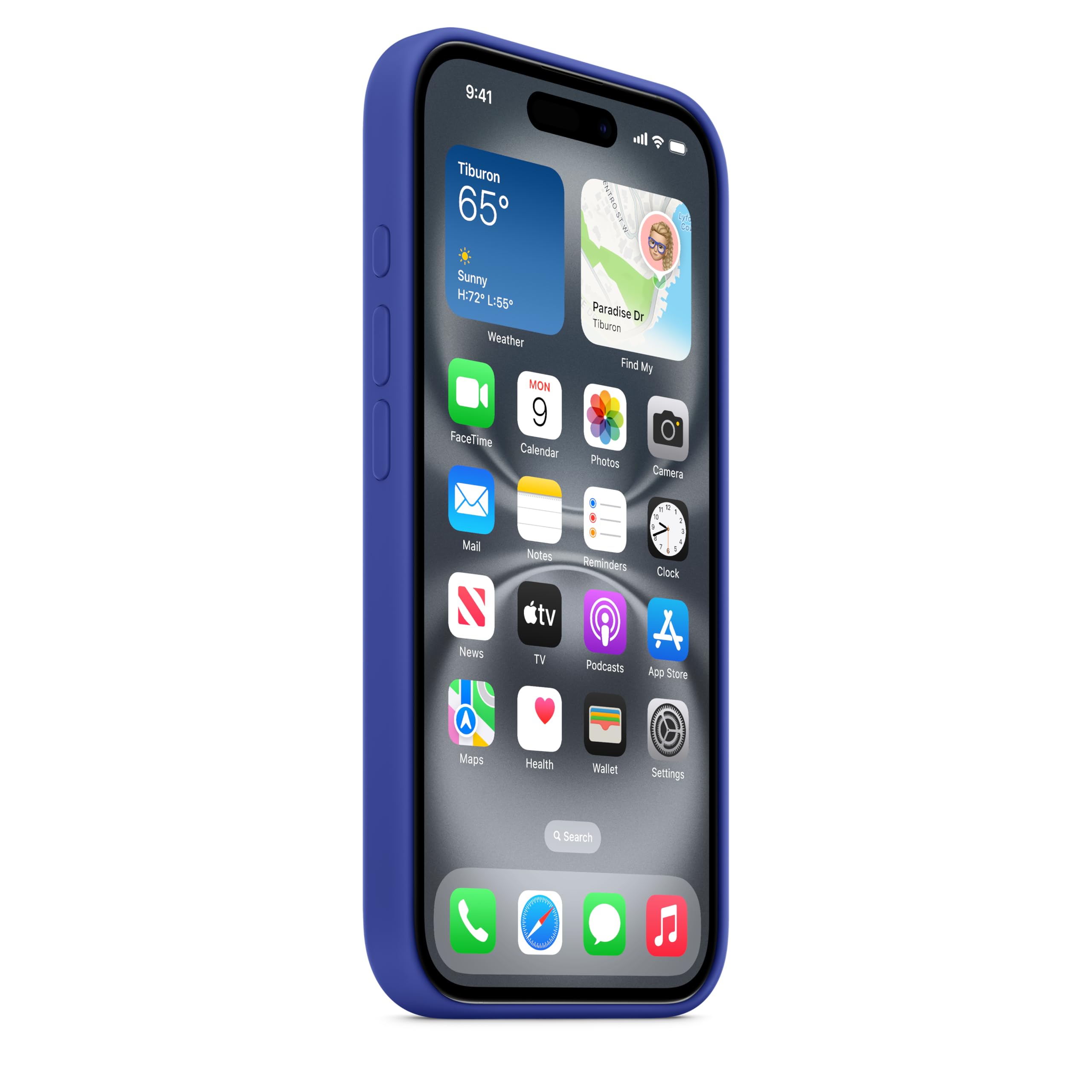 Apple iPhone 16 Silicone Case with MagSafe & Camera Control